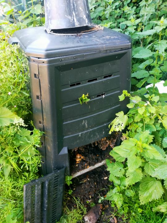 My worm bin