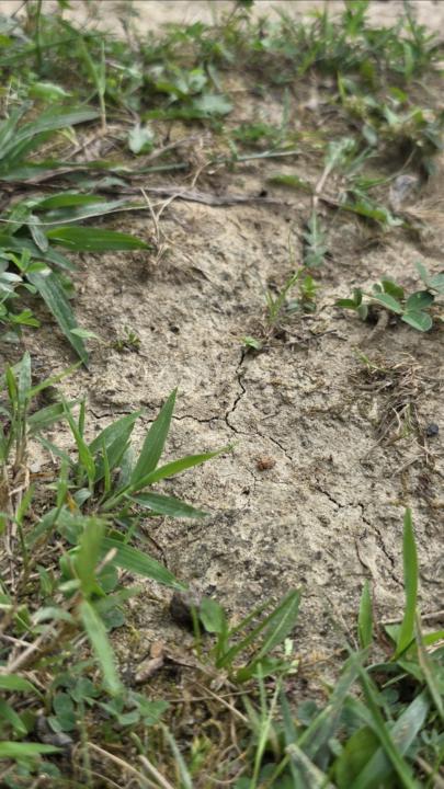 You know you are in a soil community when...