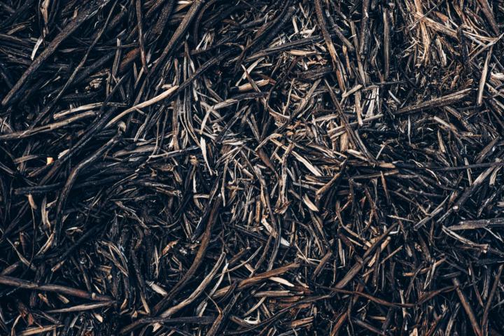 Biodegradable mulch anyone? 
