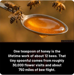 Honey Bees