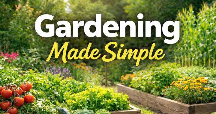 Living Soil Community