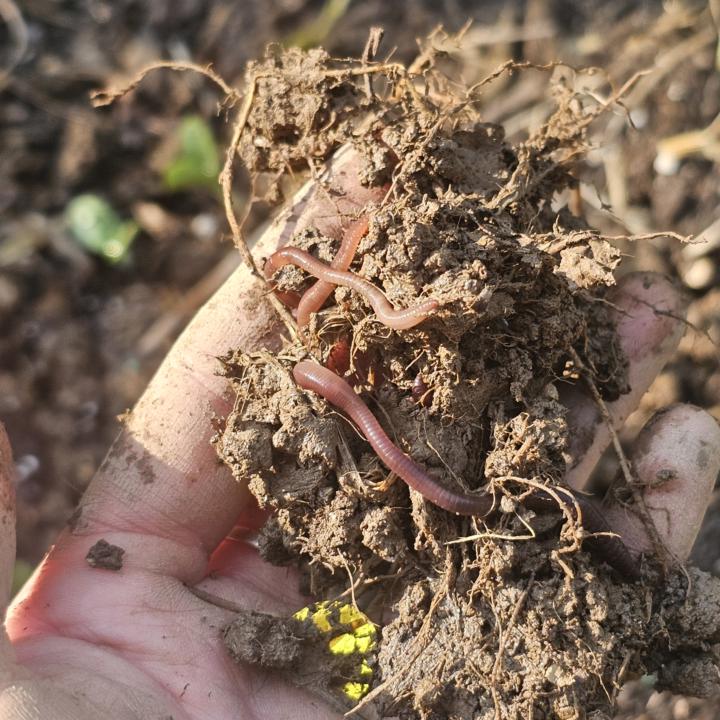 Results of my experiment