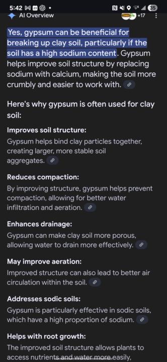 GYPSUM