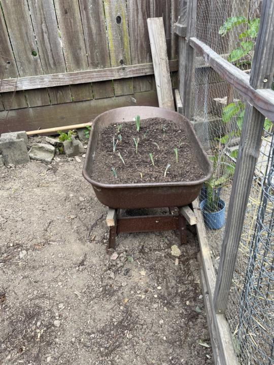 Reuse/repurpose