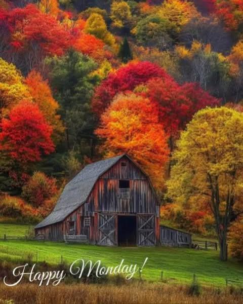 Happy New Week