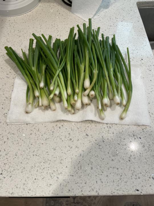 Onions 