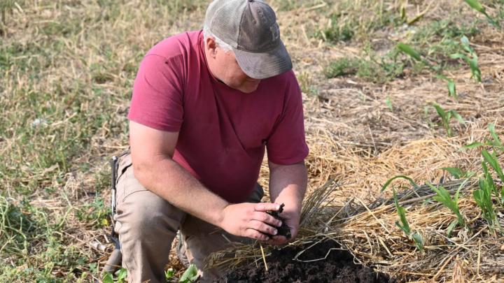 Worms signal success! 