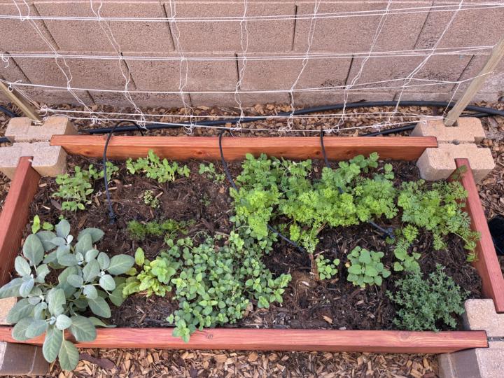 Herb spiral 