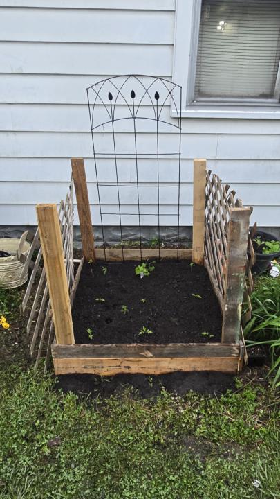 Built a New Tomato Bed!🍅