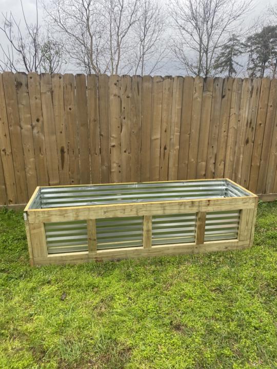 Raised bed newbie 