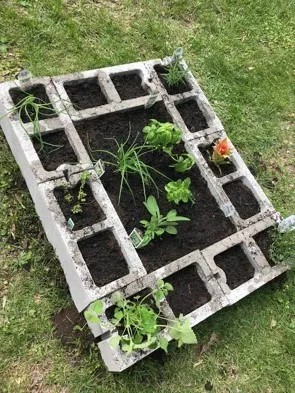 What kind of beds do your plants sleep in? 