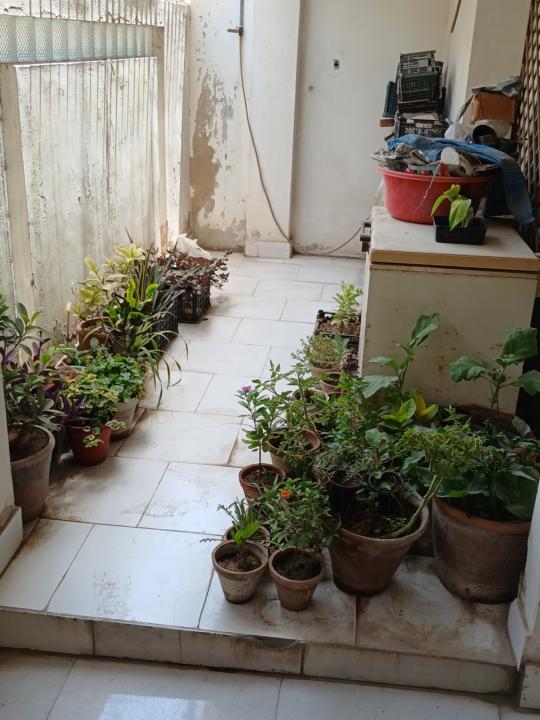 Garden Makeover for Summers