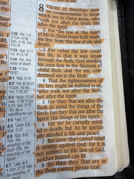 Good morning to the bride of Christ I pray you all have a blessed day stay warm and in the name of Jesus Christ be protected and take cover under his wing