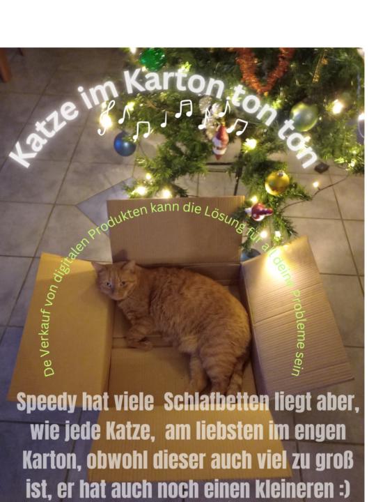 Andrea Scholz-Kraiczek