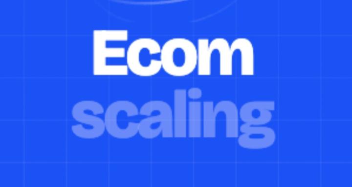 Ecom Scaling