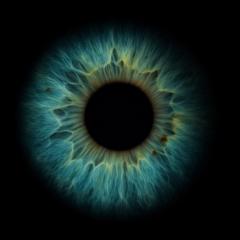 Maxime Bourges-williatte