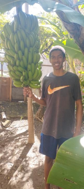 Eduardo Nhefy Da Silva