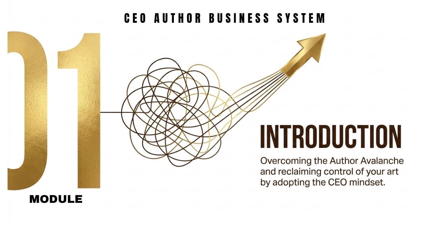 Module 1 Introduction CEO Author Business System