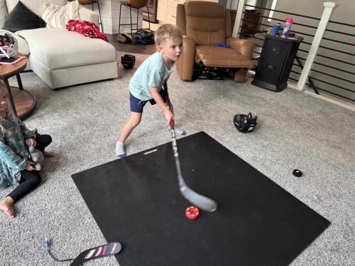 Day 1/30 Stickhandling