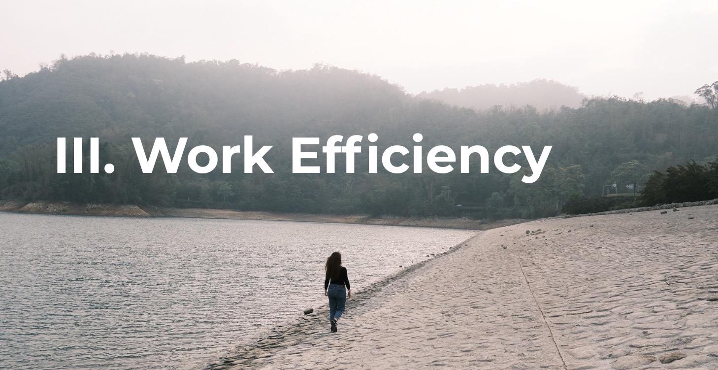 III. Work Efficiency