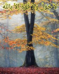 Zana Ahmad mhamad