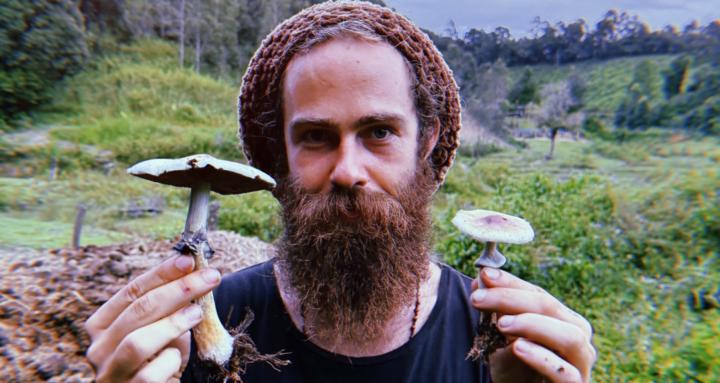 The shamanic society.