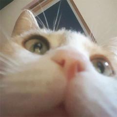 Emma R