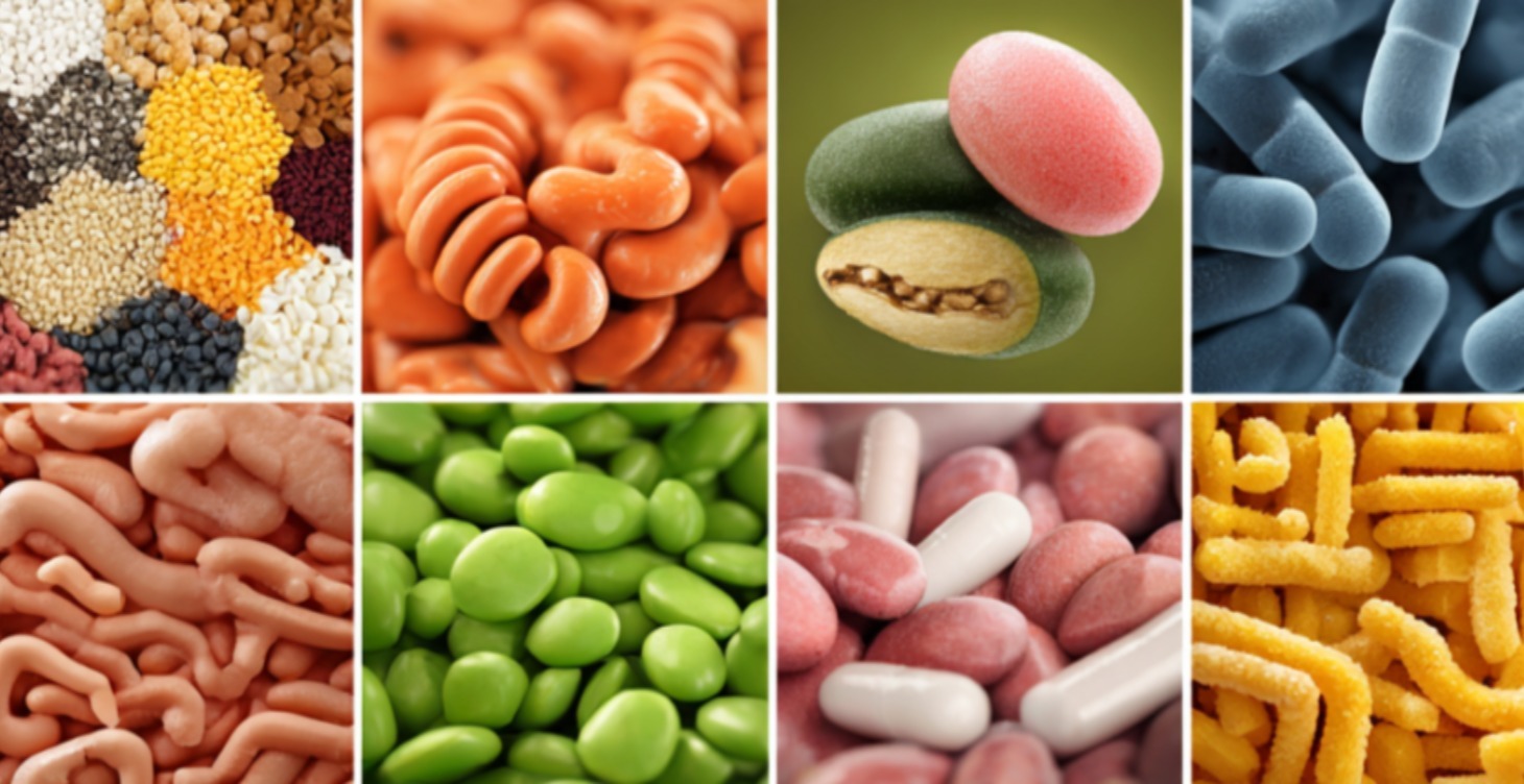 The Gut Health Reset Guide