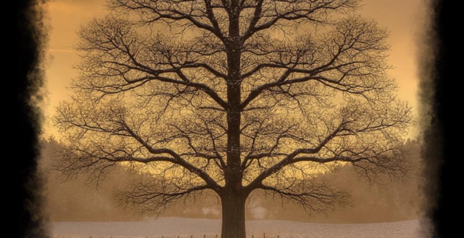 The 4 seasons meditation