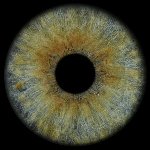 Nurefşan Tokgöz Kali