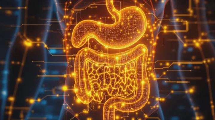 💫🔥 Lyran Digestive Metabolic Synchronization 🔥💫 