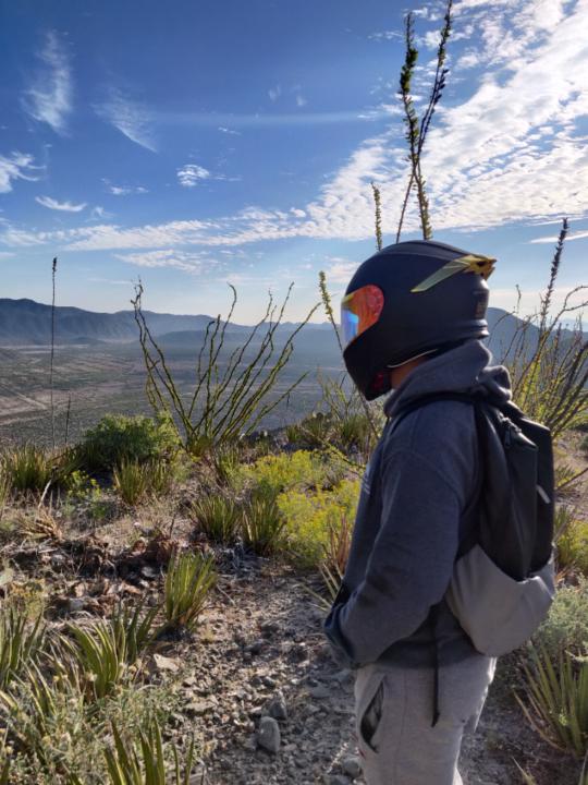 Juan Jose Ortiz Rosales