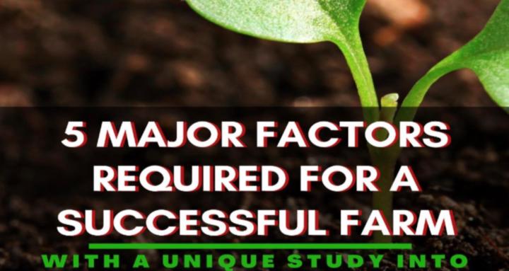 5 MAJOR FACTORS  BACKYARD FARM