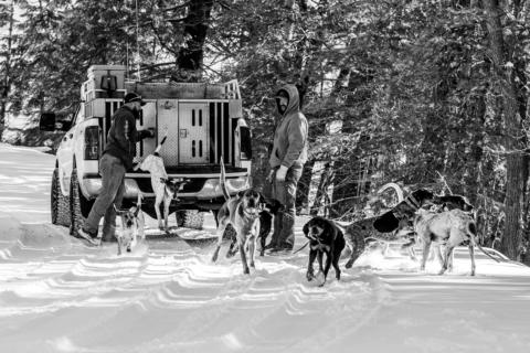 Hound Hunters Honey Hole gallery image