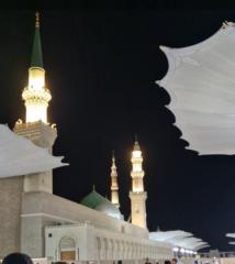 Hoda Guermoudi