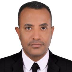 Mahmoud Ibrahim mohamed