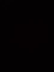 Berin A