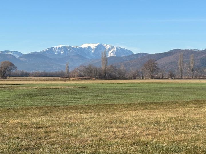 Gudrun Schröder-Gazdag