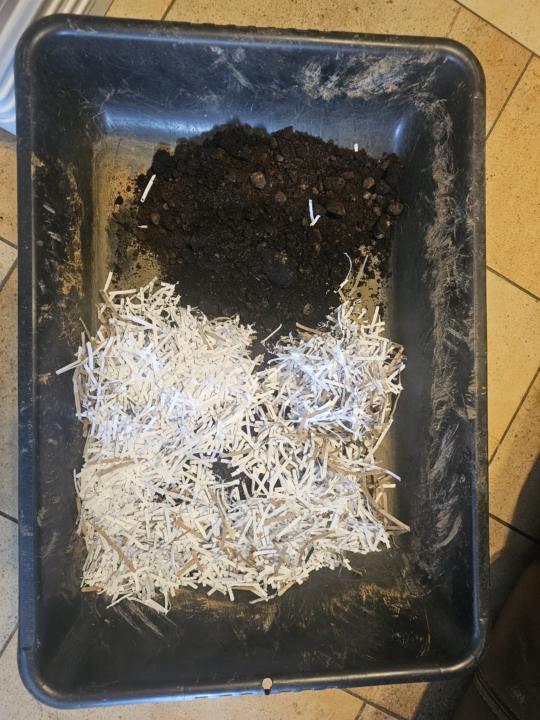 So,... I did a thing...  