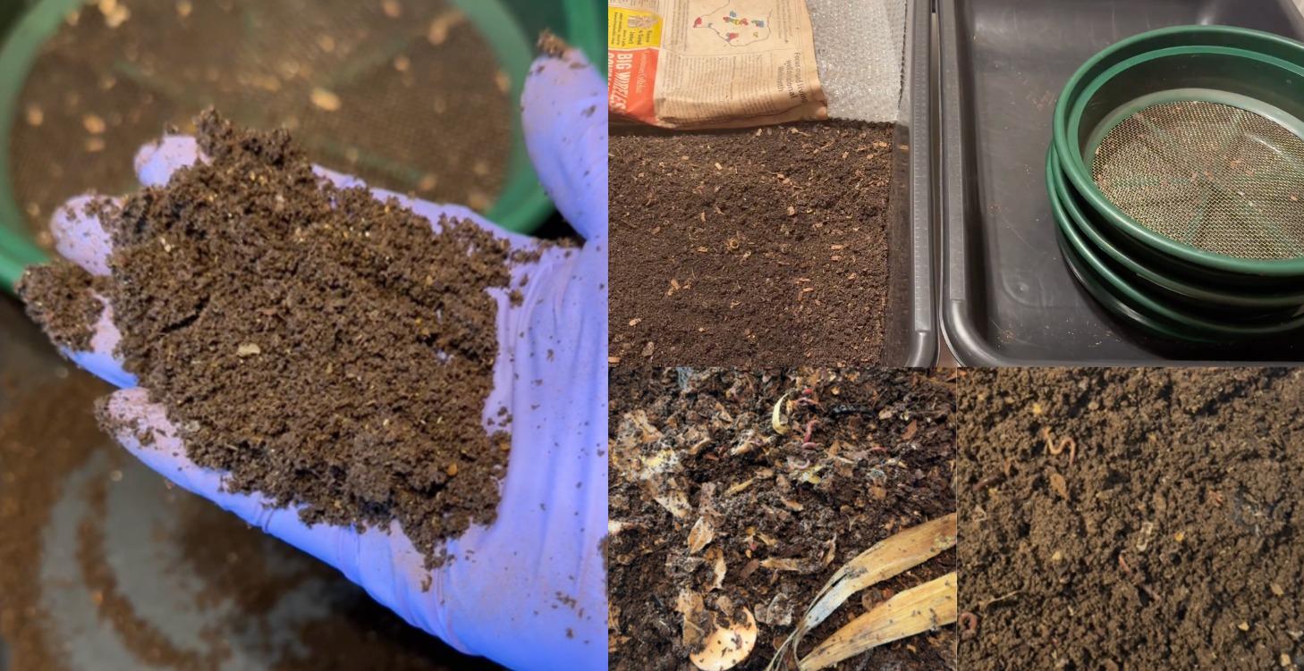 Sifting Worm Castings