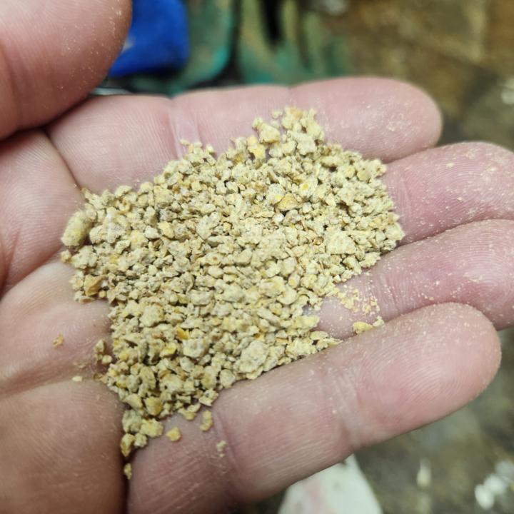 Can We Talk Chow Of The Worms?