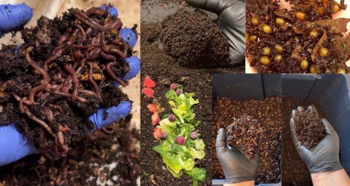 🌱 Living Soil with Cherene