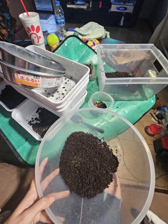 What do I do?