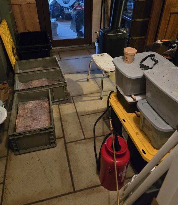 My worm bins