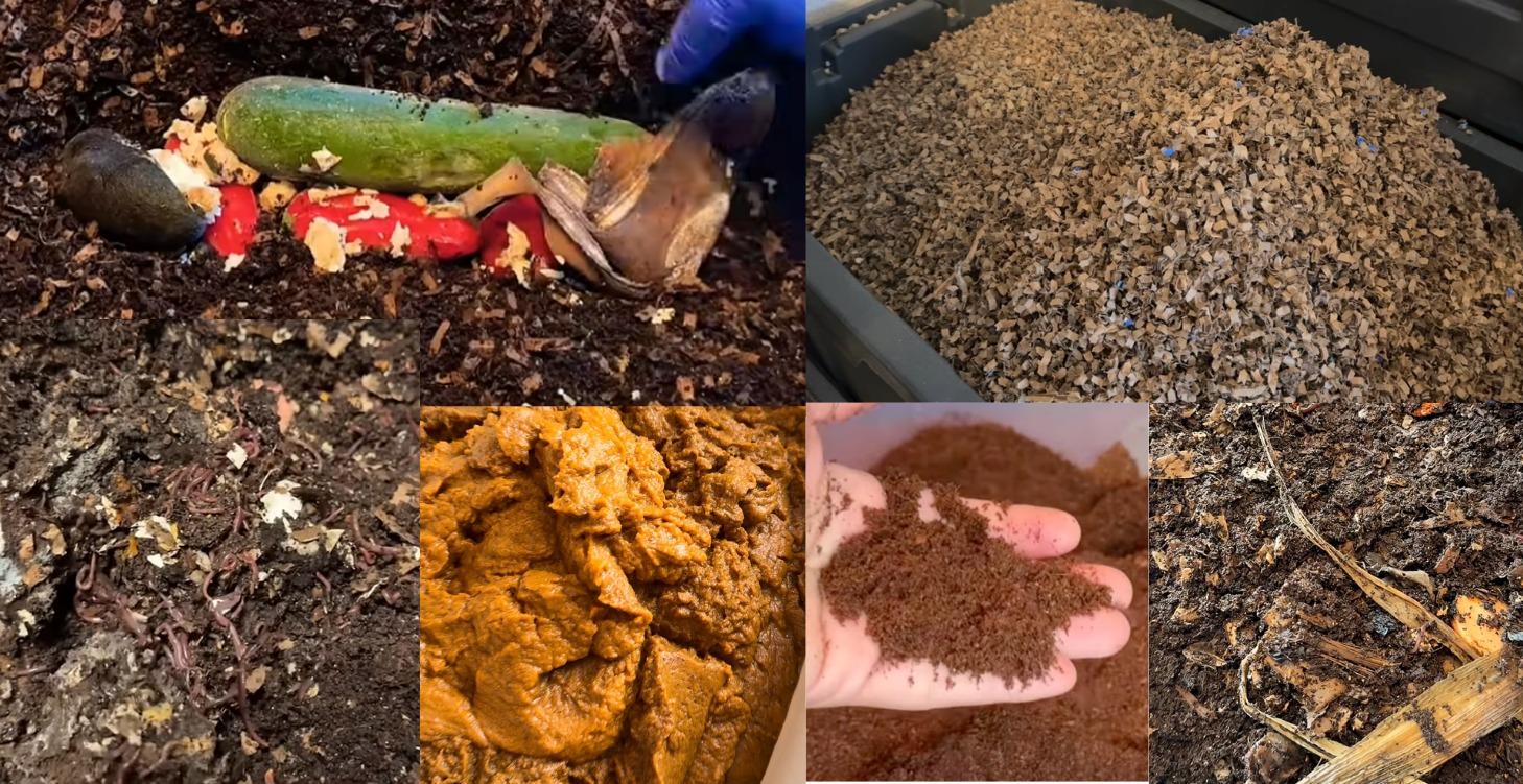 Worm Bedding, Feeding & Bin Maintenance