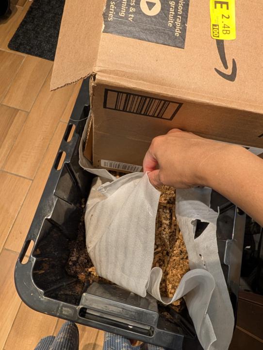 First precompost bin!