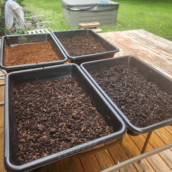 Major Bin Reset