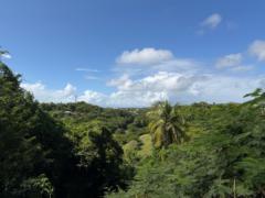 Jérôme Paulo benjamin