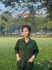 Nguyễn Hoàng Anh Thư