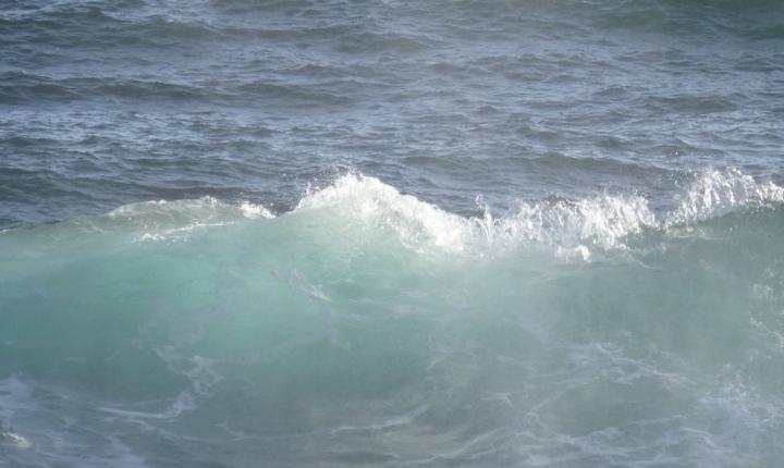 Beatrice Schlumberger